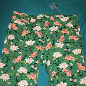 Green Floral Pixie Pant